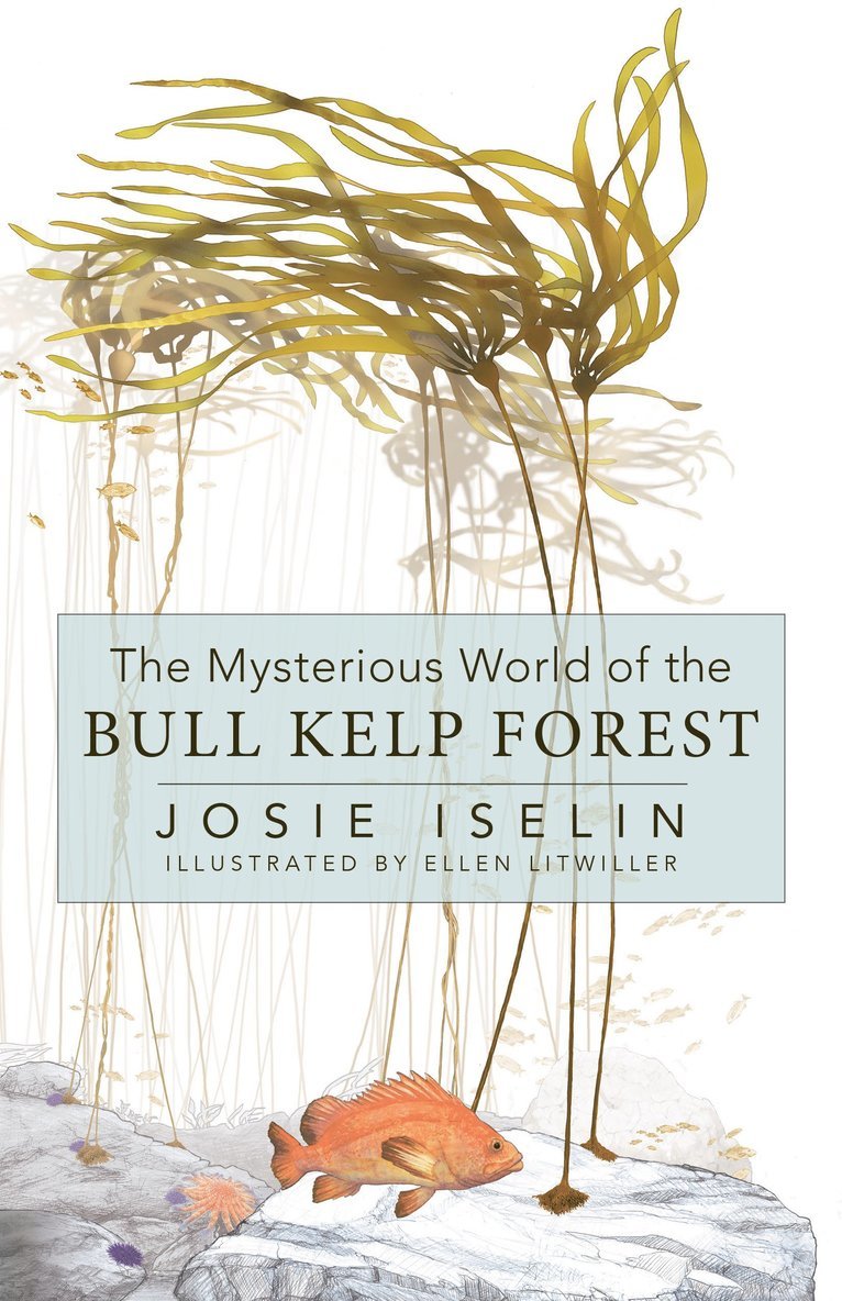 Josie Iselin - Mysterious World of the Bull Kelp Forest, Inbunden