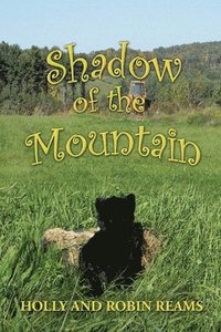 bokomslag Shadow of the Mountain