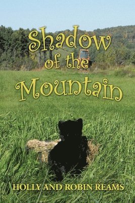 bokomslag Shadow of the Mountain