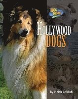 bokomslag Hollywood Dogs