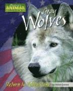bokomslag Gray Wolves: Return to Yellowstone