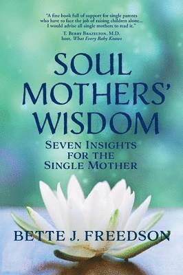 bokomslag Soul Mothers' Wisdom