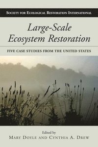 bokomslag Large-Scale Ecosystem Restoration