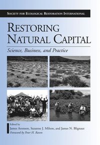 bokomslag Restoring Natural Capital
