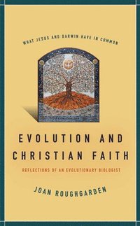 bokomslag Evolution and Christian Faith