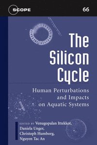 bokomslag The Silicon Cycle