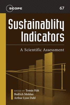 bokomslag Sustainability Indicators