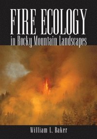 bokomslag Fire Ecology in Rocky Mountain Landscapes