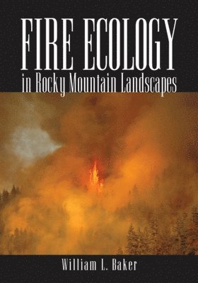 bokomslag Fire Ecology in Rocky Mountain Landscapes