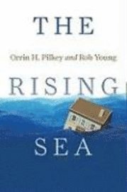 The Rising Sea 1
