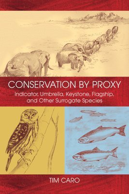 Conservation by Proxy 1