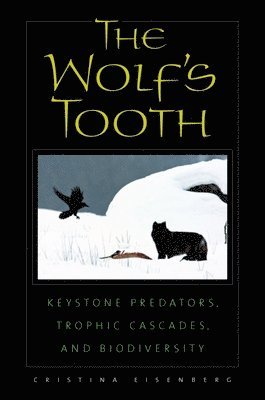 The Wolf's Tooth 1