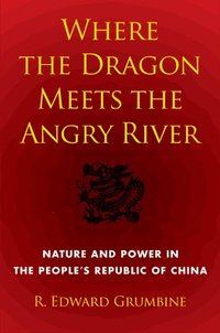 bokomslag Where the Dragon Meets the Angry River