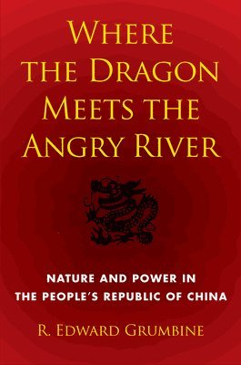 bokomslag Where the Dragon Meets the Angry River
