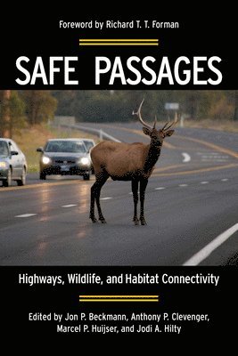 Safe Passages 1