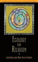 bokomslag Ecology and Religion