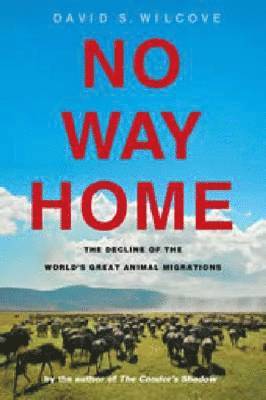 bokomslag No Way Home