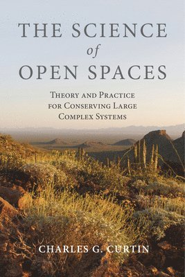 Charles  G. Curtin, Charles  G. Curtin, Charles G. Curtin, Charles G Curtin - Science of Open Spaces, Häftad