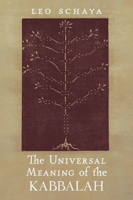 bokomslag Universal Meaning of the Kabbalah