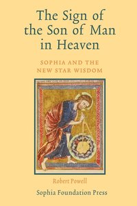 bokomslag Sign of the Son of Man in Heaven