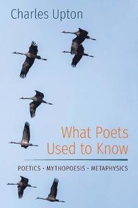 bokomslag What Poets Used to Know