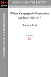 bokomslag Wilson: Campaigns for Progressivism and Peace 1916-1917