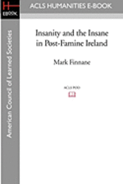 bokomslag Insanity and the Insane in Post-Famine Ireland