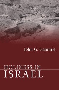 bokomslag Holiness in Israel