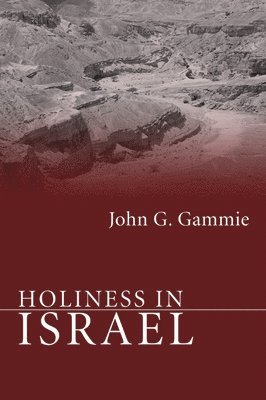 bokomslag Holiness in Israel