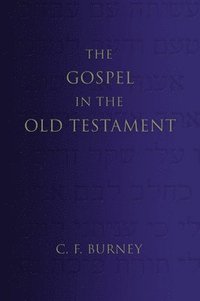 bokomslag Gospel in the Old Testament