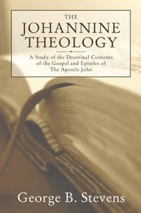 bokomslag The Johannine Theology