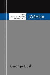 bokomslag Notes, Critical and Practical, on the Book of Joshua