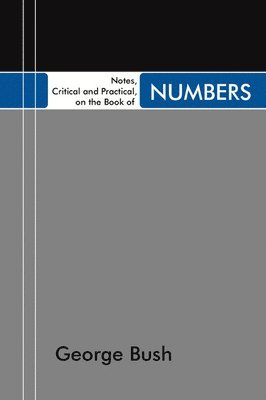 bokomslag Notes, Critical and Practical, on the Book of Numbers