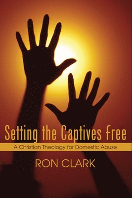 bokomslag Setting the Captives Free