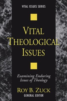 bokomslag Vital Theological Issues