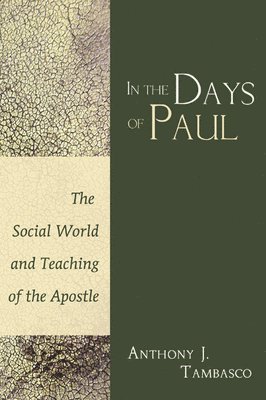 bokomslag In The Days of Paul