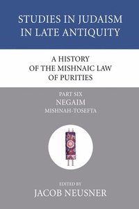 bokomslag A History of the Mishnaic Law of Purities, Part 6