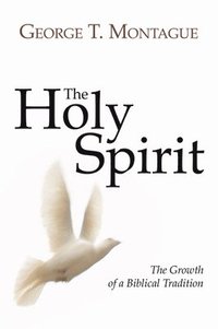 bokomslag Holy Spirit