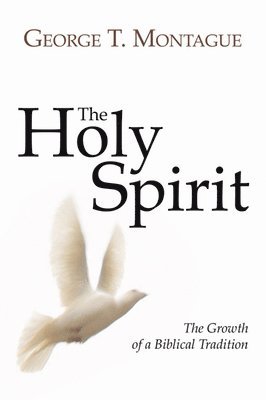 bokomslag Holy Spirit