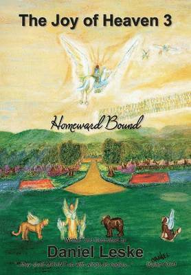 bokomslag Joy of Heaven 3