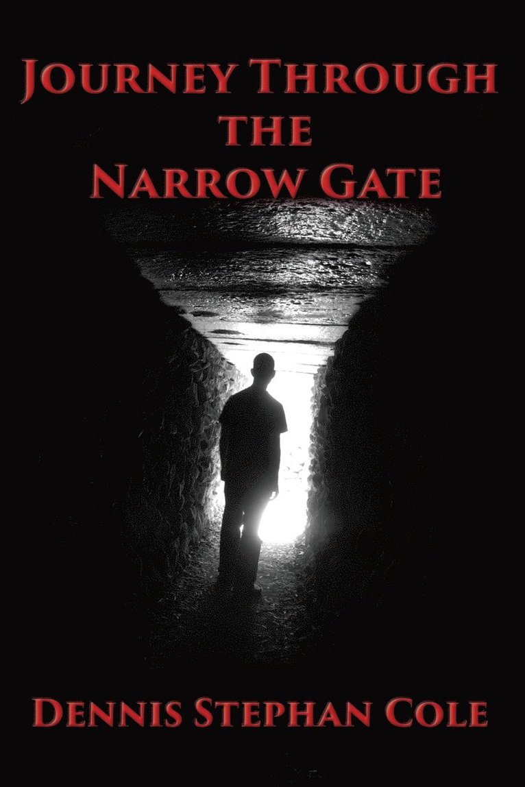 Journey Through the Narrow Gate 1