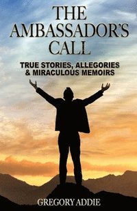bokomslag Ambassador's Call