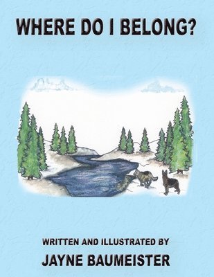 Jayne Baumeister - Where Do I Belong, Häftad