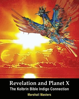 bokomslag Revelation and Planet X