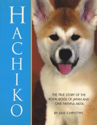 Hachiko 1