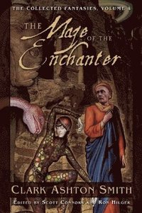 bokomslag The Maze of the Enchanter