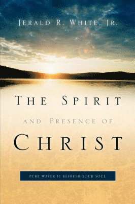bokomslag Spirit and Presence of Christ