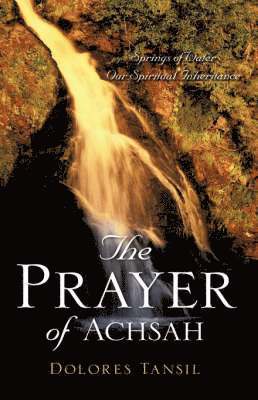 bokomslag Prayer of Achsah