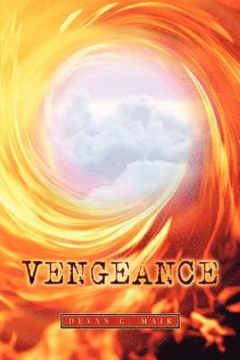 bokomslag Vengeance