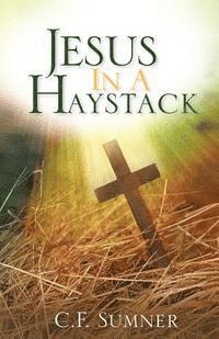 bokomslag Jesus In A Haystack